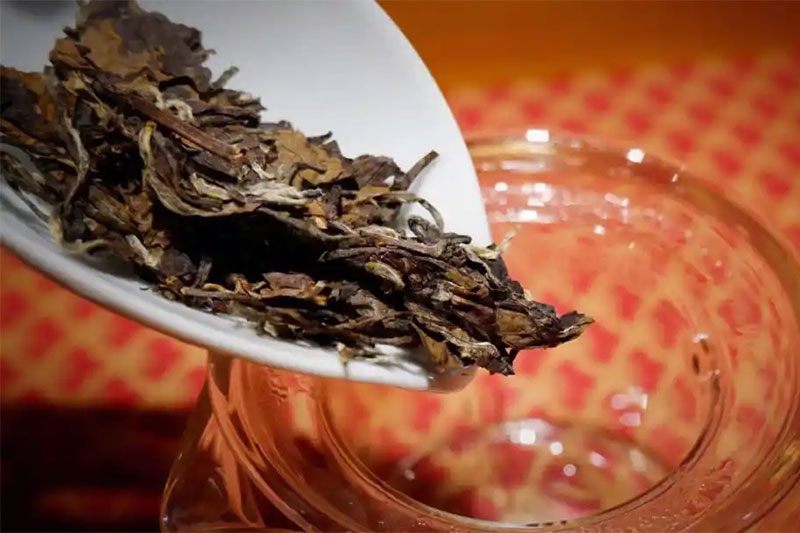 家庭存茶避坑指南:你的白茶为什么越存越差? 家庭存茶避坑指南:你的白茶为什么越存越差?